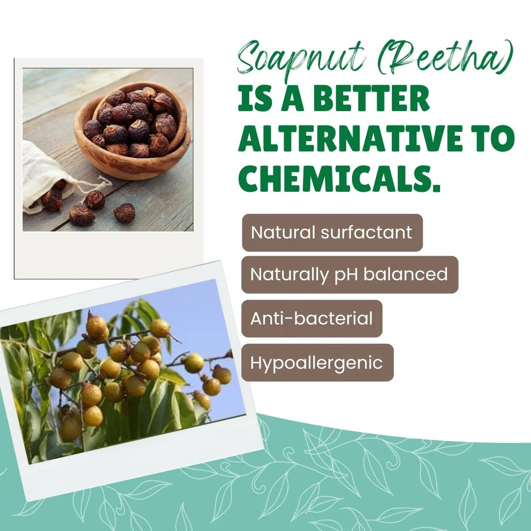 Split image showing soapnuts (reetha) in a wooden bowl and soap pods (shikakai) on a tree branch. Text explains "Soapnut (Reetha) IS A BETTER ALTERNATIVE TO CHEMICALS" with benefits listed: Natural surfactant, Naturally pH balanced, Anti-bacterial, Hypoallergenic.
