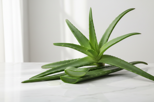 What Does Aloe Vera Do in Baby Body Wash — Beyond the Marketing Claim