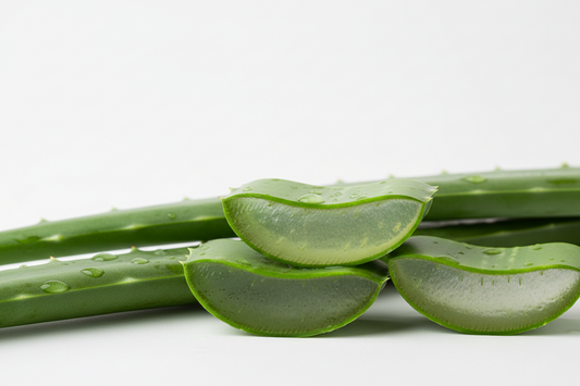 What Does Aloe Vera Do In Baby Bottom Wash — The Soothing And Barrier Mechanism