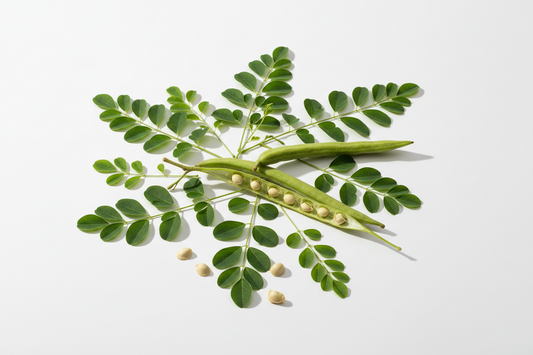 Why Moringa Is In Our Surface Cleaner — What It Does For Floor Hygiene