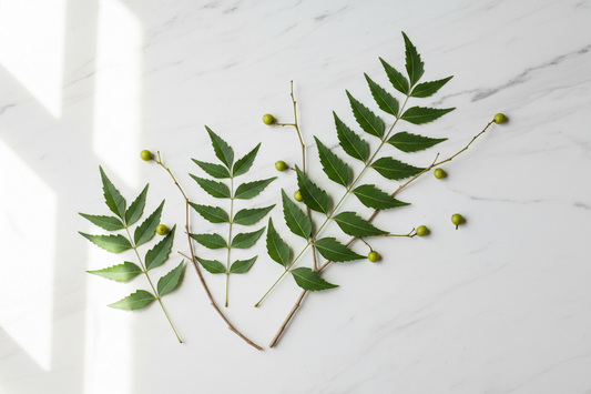 Neem for Baby Skin — Why It Belongs in Baby Body Wash