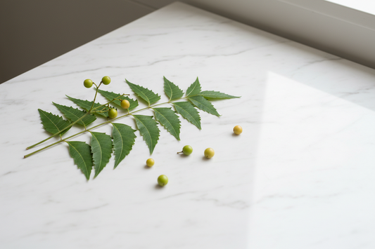 Neem in Baby Hand Wash — What It Does For Hygiene Without Synthetic Antibacterials