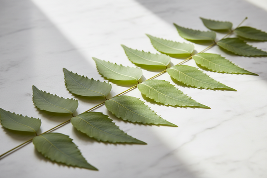 Neem for Baby Scalp — What It Does and Why It Is in Baby Shampoo