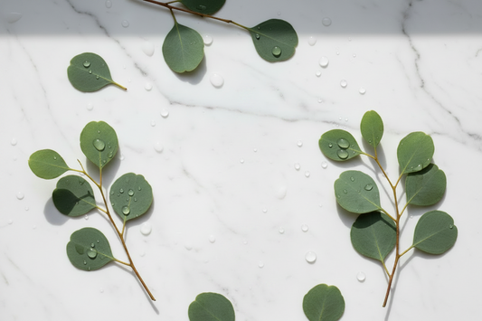 Why Eucalyptus Essential Oil Is in Indimums Floor Cleaner — Function Not Fragrance