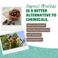 Split image showing soapnuts (reetha) in a wooden bowl and soap pods (shikakai) on a tree branch. Text explains "Soapnut (Reetha) IS A BETTER ALTERNATIVE TO CHEMICALS" with benefits listed: Natural surfactant, Naturally pH balanced, Anti-bacterial, Hypoallergenic.