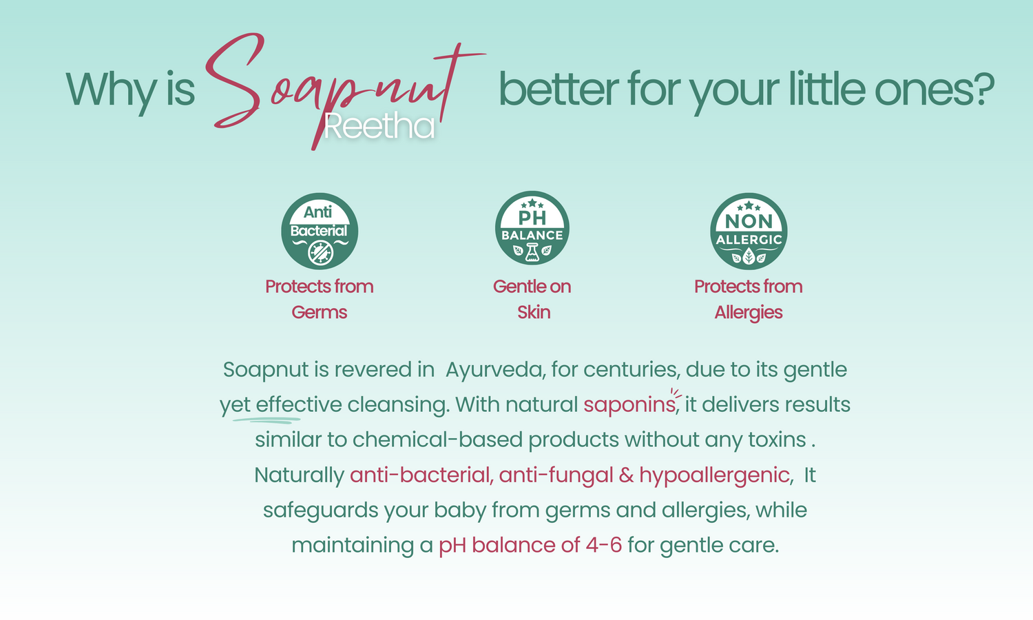 Benefits of soapnuts such as being anti bacterial, ph balanced and hypoallergenic. With a body of text below supporting the effectiveness of soapnuts