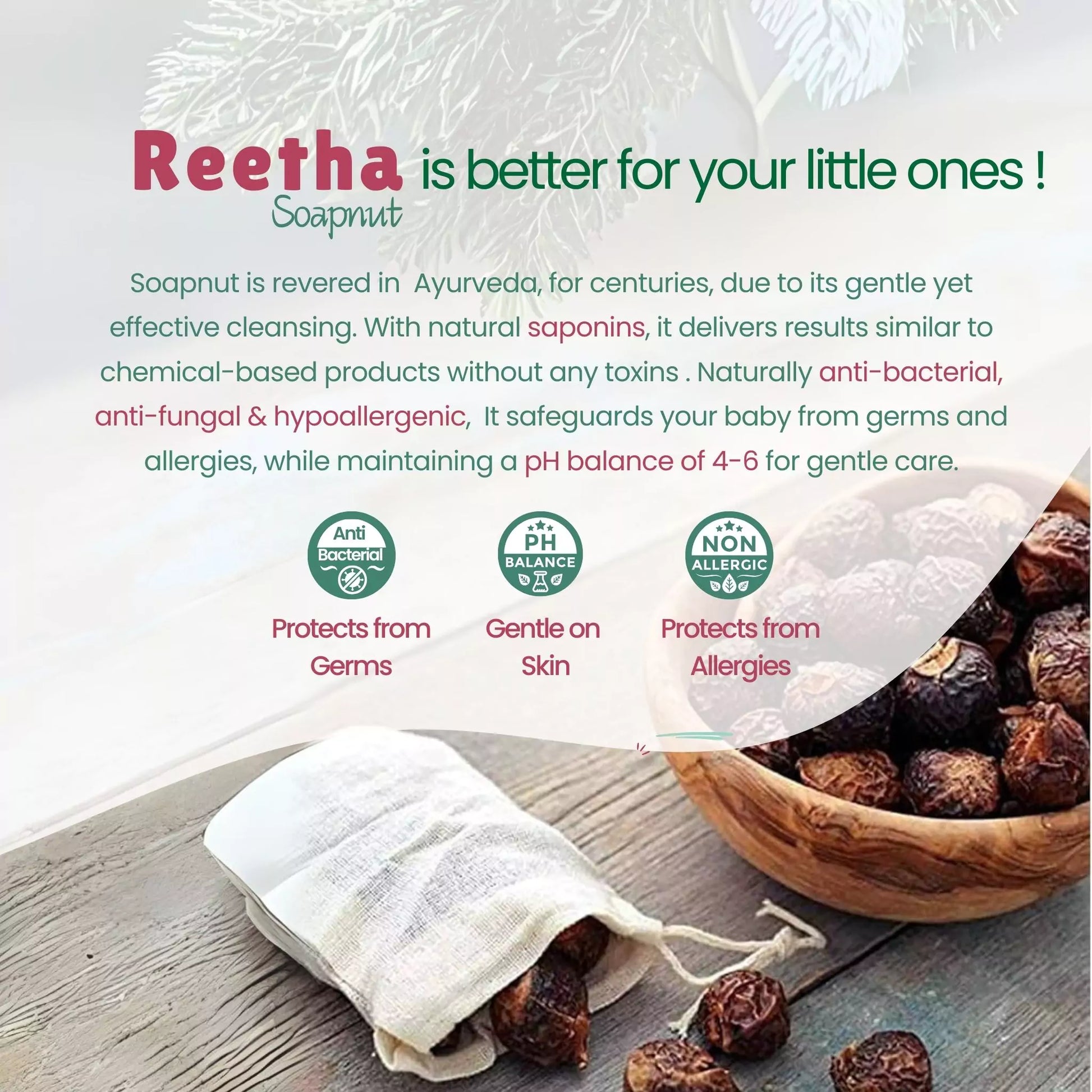 All about reetha why it is better for your little ones

