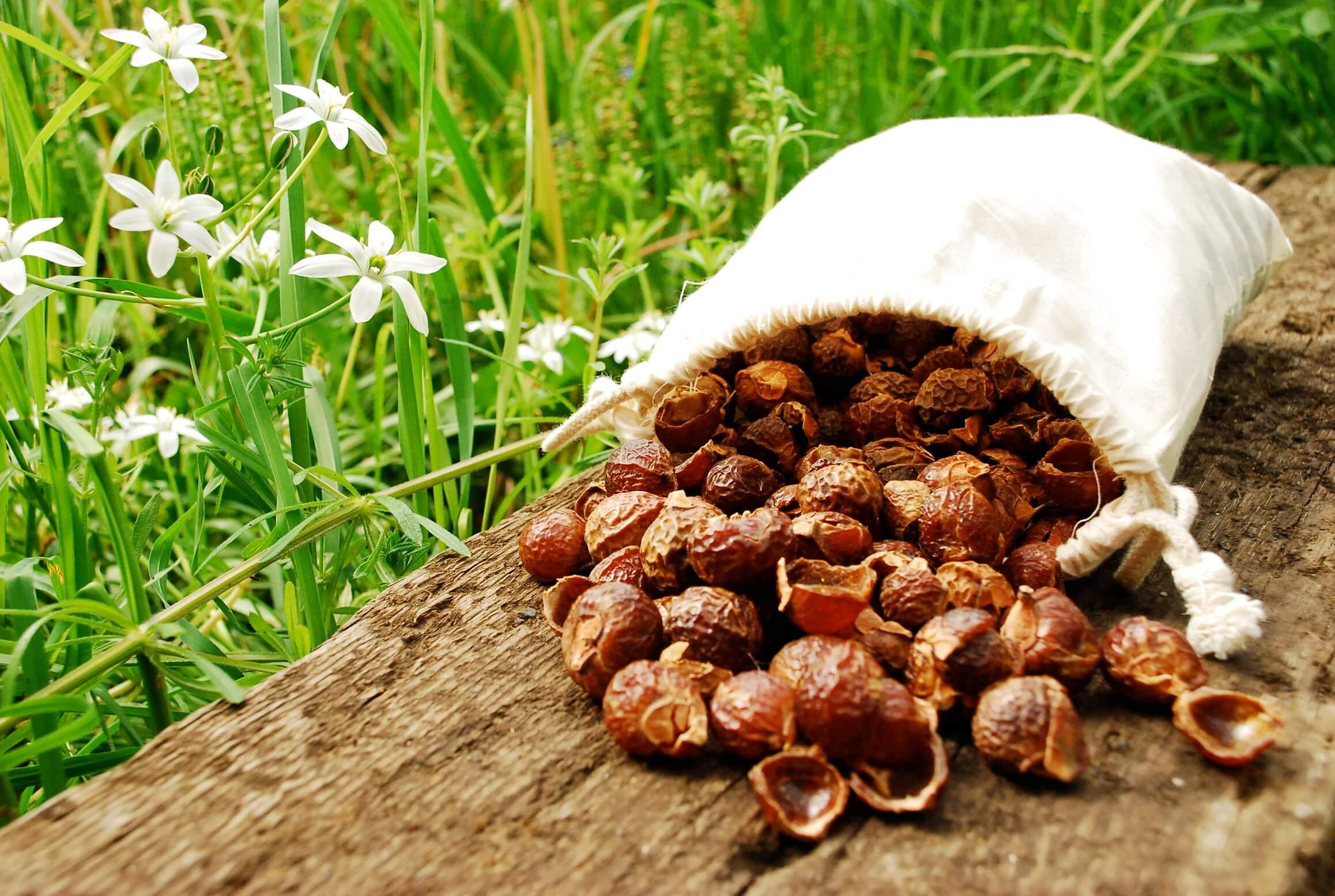 A bag of soapnuts placed on the floor. 